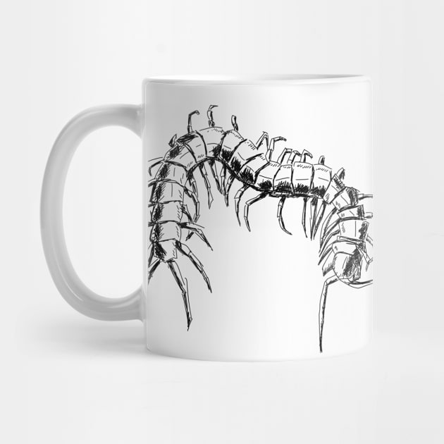 Scolopendra by Antho